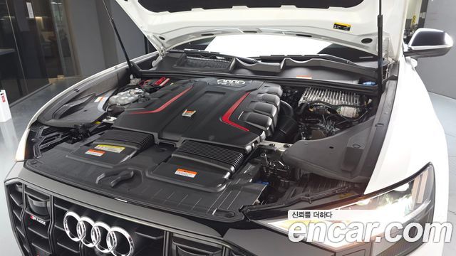 Audi | Audi SQ8 (4M)