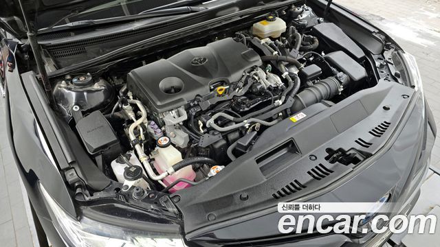 Toyota | Toyota Camry (XV70) | Camry (XV70)