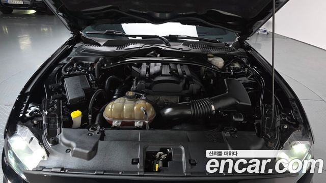 ford | ford mustang | mustang