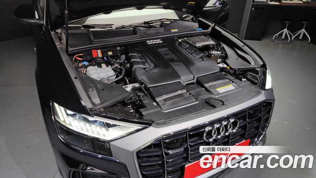 Audi | Audi Q8 (4M)