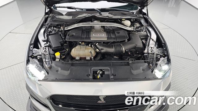 ford | ford mustang | mustang