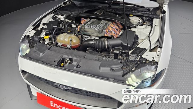 ford | ford mustang | mustang