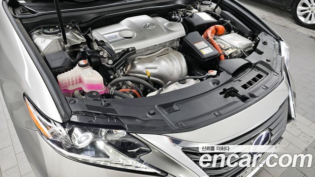 Lexus | Lexus New ES300h | New ES300h