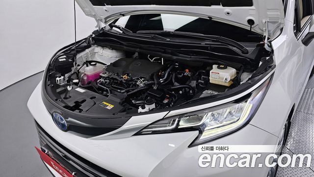 Toyota | Toyota Sienna 4th Generation | Sienna 4th Generation