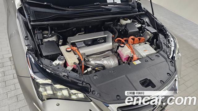 Lexus | Lexus NX300h