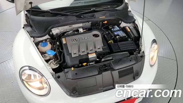 Volkswagen | Volkswagen The Beetle | The Beetle