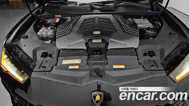 Lamborghini | Lamborghini Urus | Urus