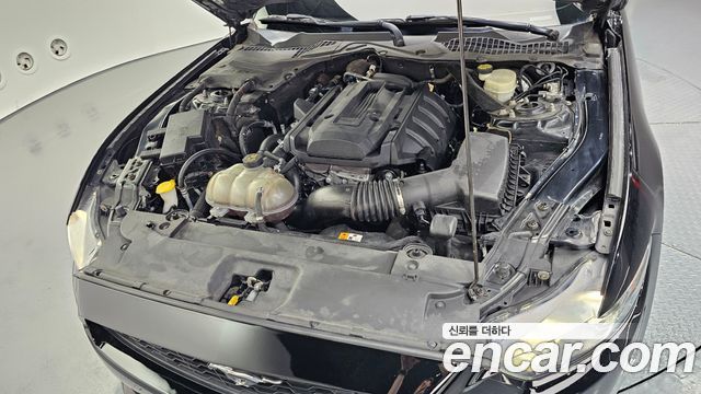 ford | ford mustang | mustang