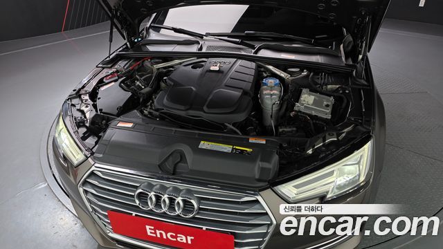 Audi | Audi A4 (B9) | A4 (B9)