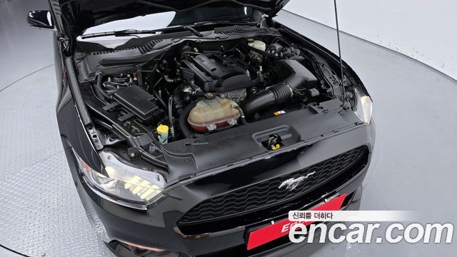 ford | ford mustang | mustang