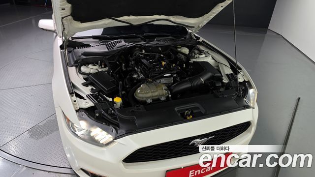 ford | ford mustang | mustang