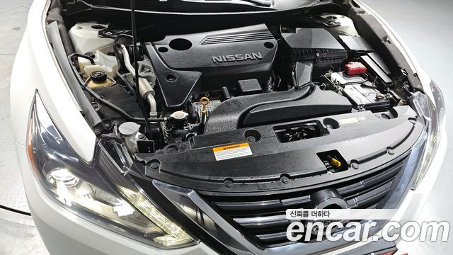 nissan | nissan Altima | Altima