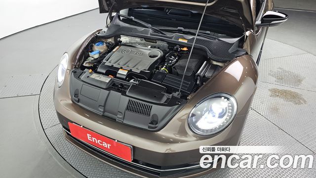 Volkswagen | Volkswagen The Beetle | The Beetle