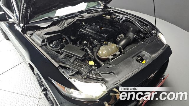 ford | ford mustang | mustang