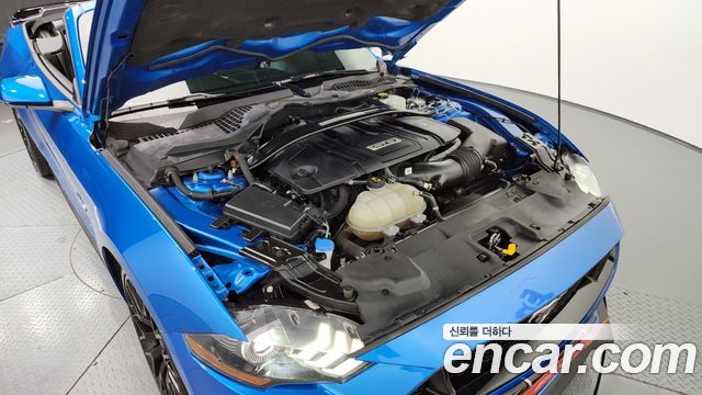 ford | ford mustang | mustang