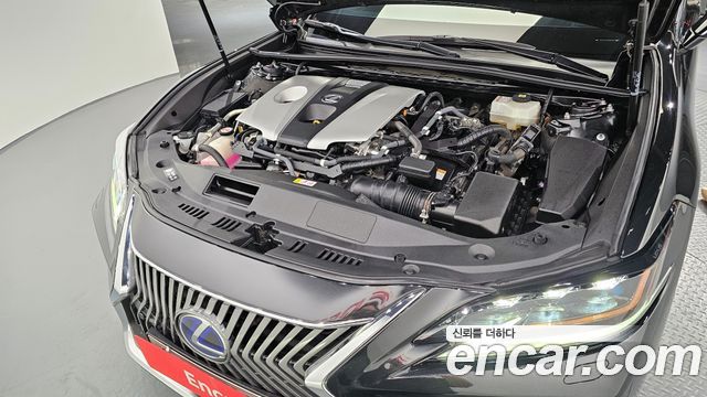 Lexus | Lexus ES300h 7th generation | ES300h 7th generation