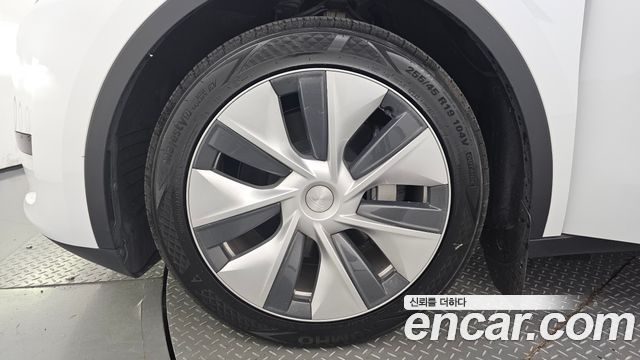 tesla | tesla Model Y | Model Y