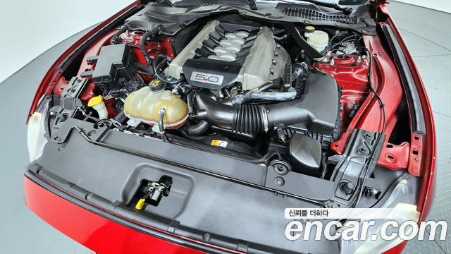 ford | ford mustang | mustang