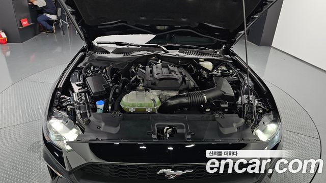 ford | ford mustang | mustang