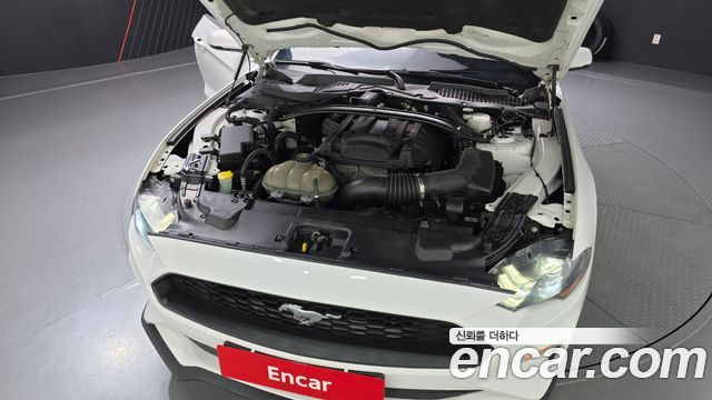 ford | ford mustang | mustang