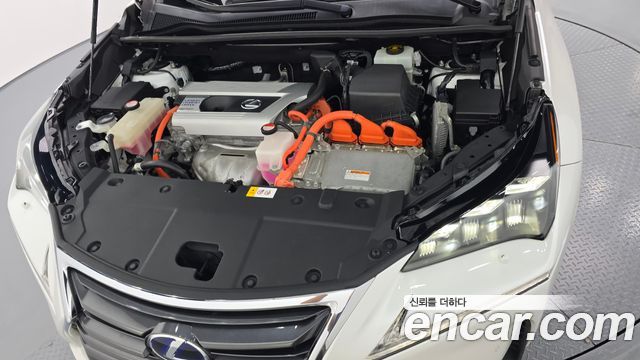 Lexus | Lexus NX300h