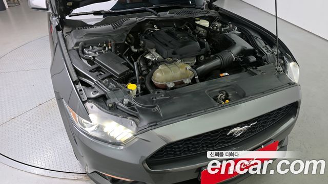 ford | ford mustang | mustang