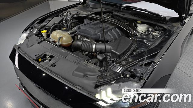 ford | ford mustang | mustang