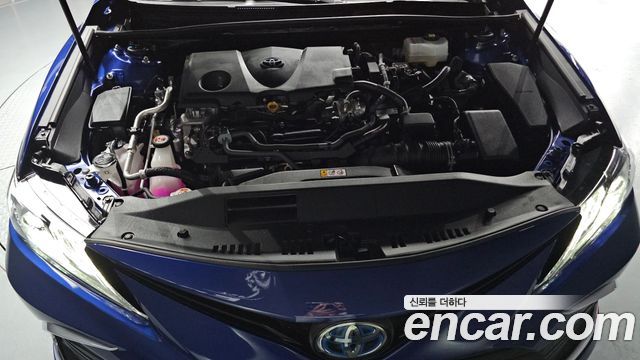 Toyota | Toyota Camry (XV70) | Camry (XV70)