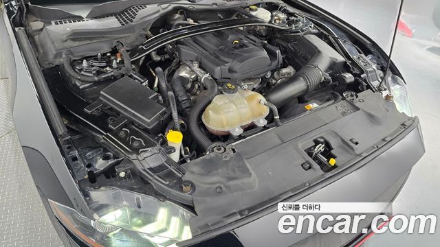 ford | ford mustang | mustang