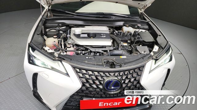 Lexus | Lexus UX250h
