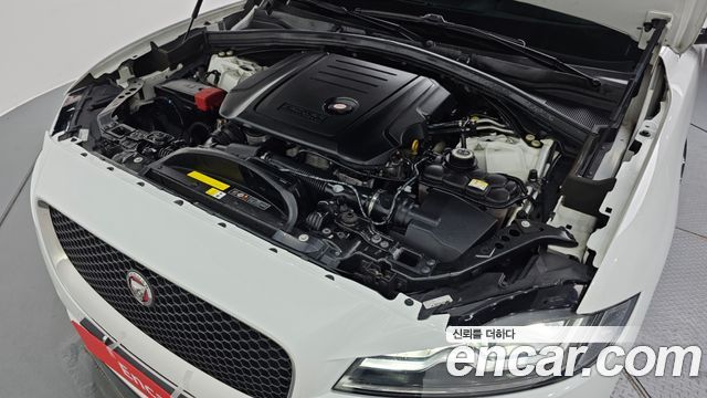 Jaguar | Jaguar F-PACE