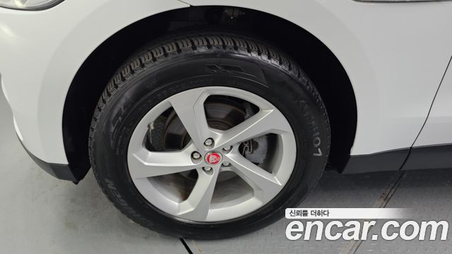 Jaguar | Jaguar F-PACE