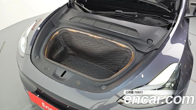 tesla | tesla Model Y | Model Y