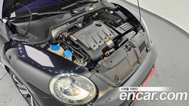 Volkswagen | Volkswagen The Beetle | The Beetle