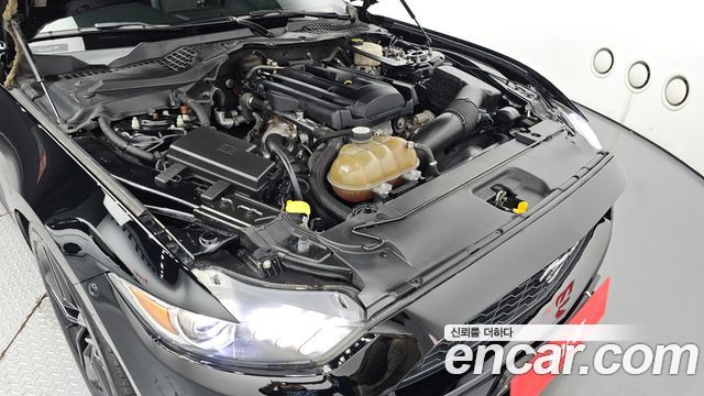 ford | ford mustang | mustang