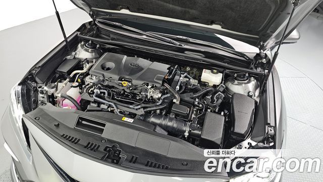 Toyota | Toyota Camry (XV70) | Camry (XV70)