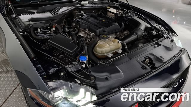 ford | ford mustang | mustang