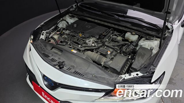 Toyota | Toyota Camry (XV70) | Camry (XV70)