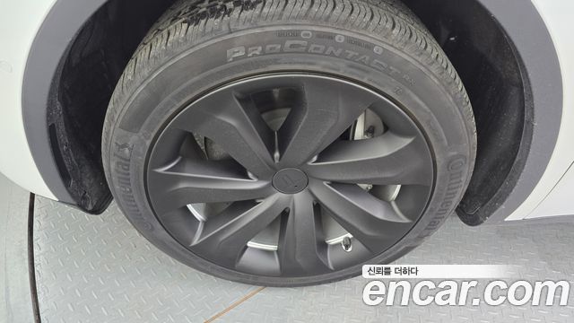 tesla | tesla Model Y | Model Y