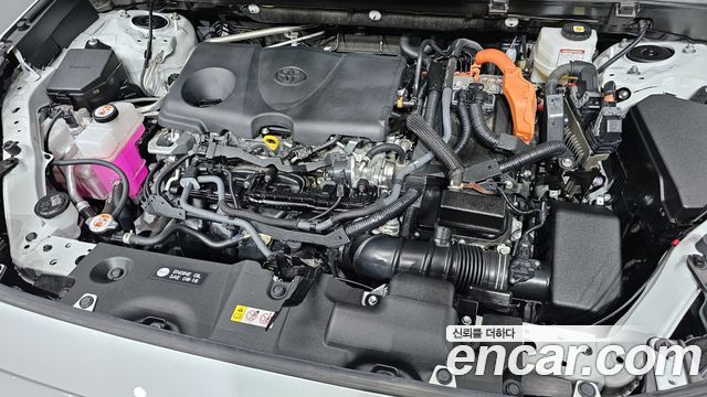 Toyota | Toyota RAV4 \uc0\u8203 \u8203 5th Generation | RAV4 \uc0\u8203 \u8203 5th Generation