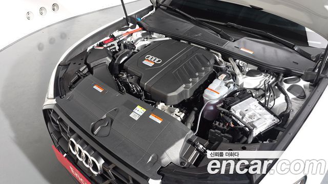 Audi | Audi A6 (C8) | A6 (C8)