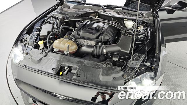 ford | ford mustang | mustang