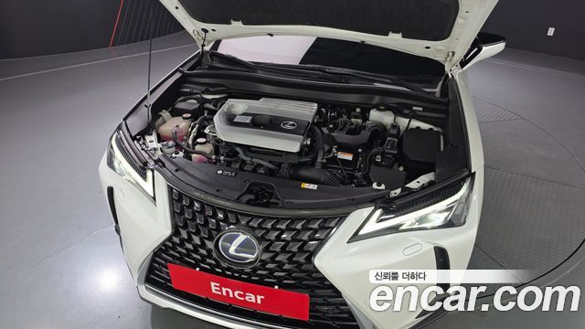 Lexus | Lexus UX250h