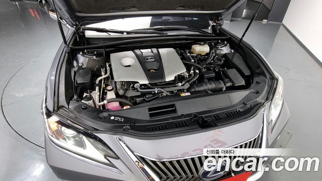 Lexus | Lexus ES300h 7th generation | ES300h 7th generation