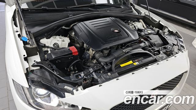 Jaguar | Jaguar F-PACE