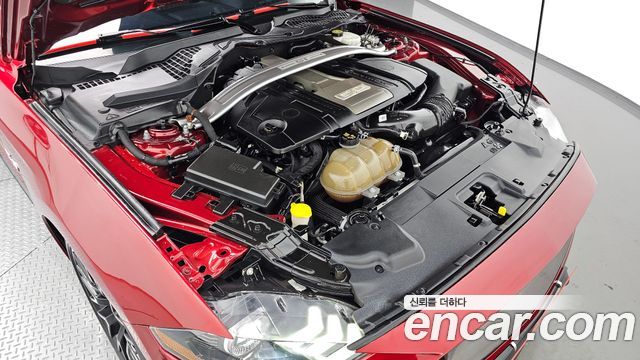 ford | ford mustang | mustang