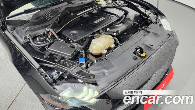 ford | ford mustang | mustang