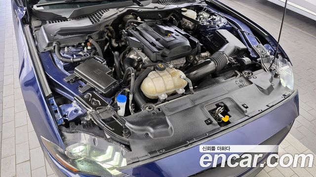 ford | ford mustang | mustang