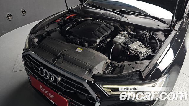 Audi | Audi A6 (C8) | A6 (C8)