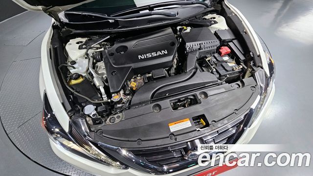 nissan | nissan Altima | Altima